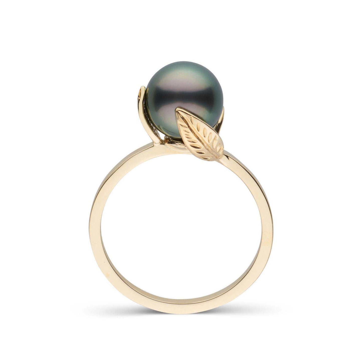 Leaf Collection 8.0-9.0 mm Tahitian Pearl Ring