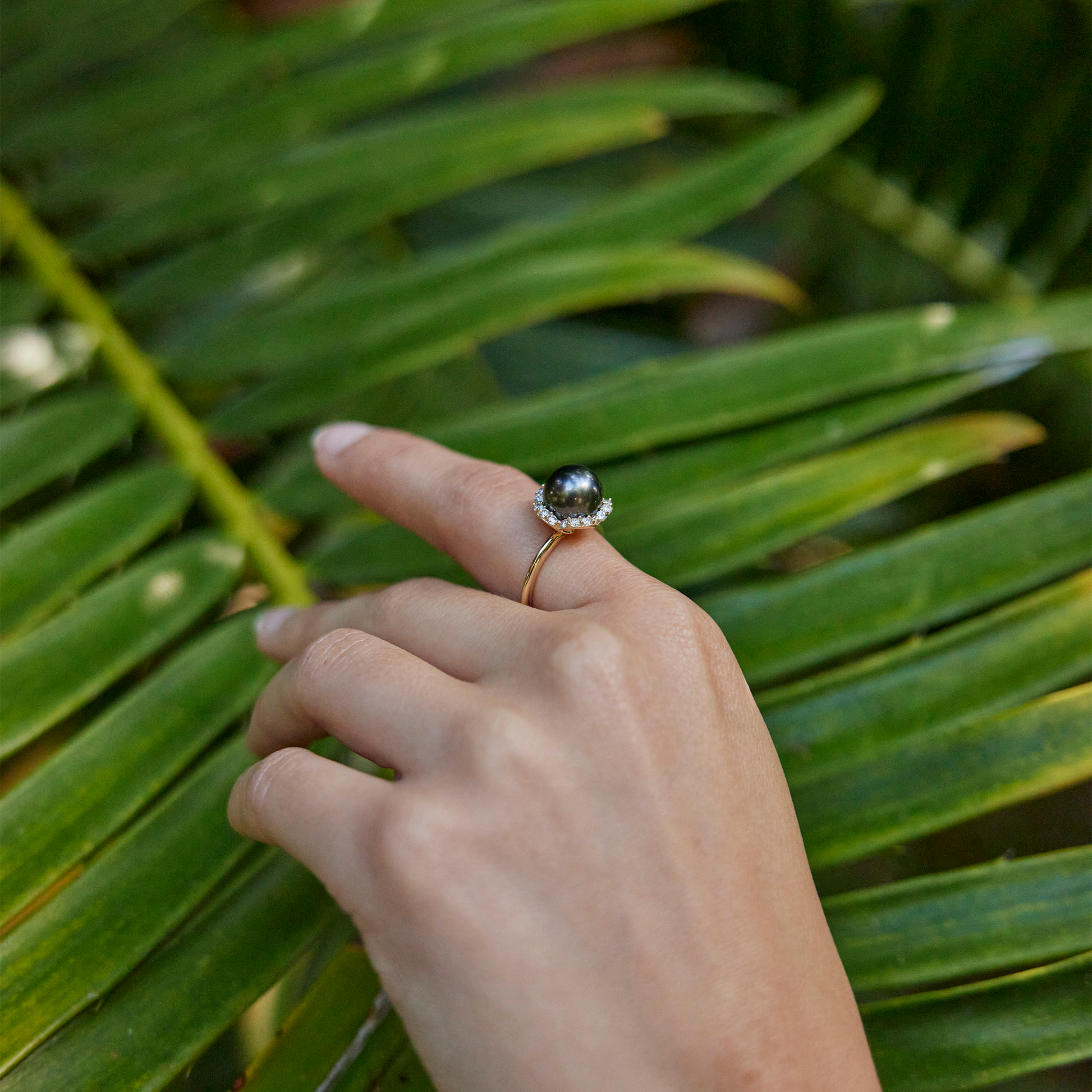 Plumeria Tahitian Black Pearl Ring in Gold with Diamonds - 9-10mm