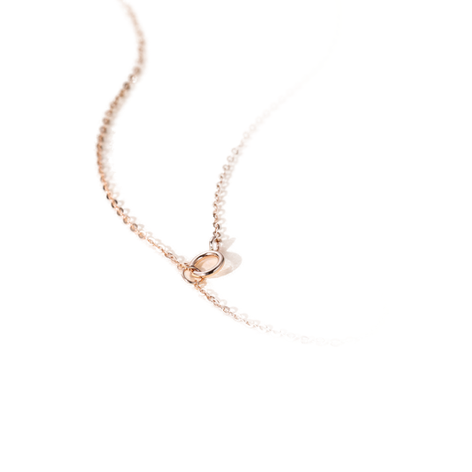 Princess Moissanite Compass Pendant Necklace