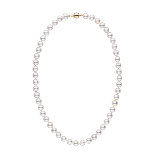 8.0-8.5 mm AA+ White Akoya Pearl Necklace